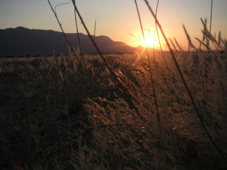 Sonnenuntergang am Brandberg