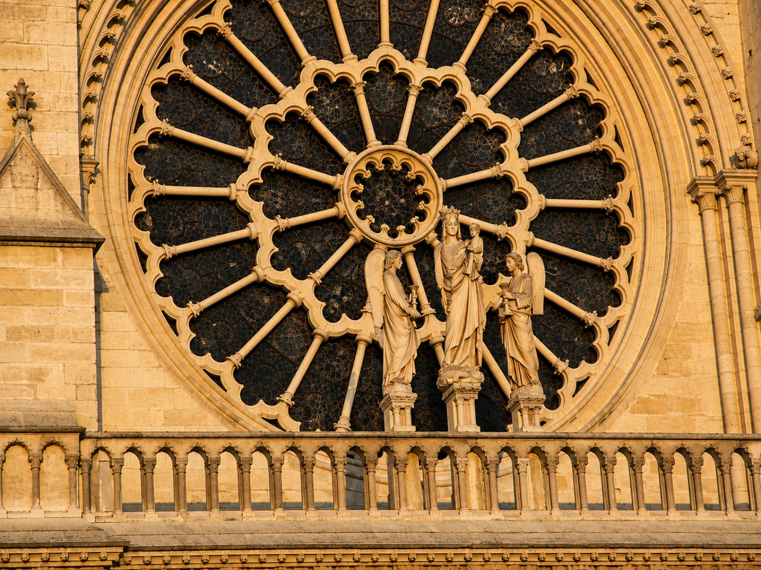 Rose window and sculptural details of Notre-Dame in warm light