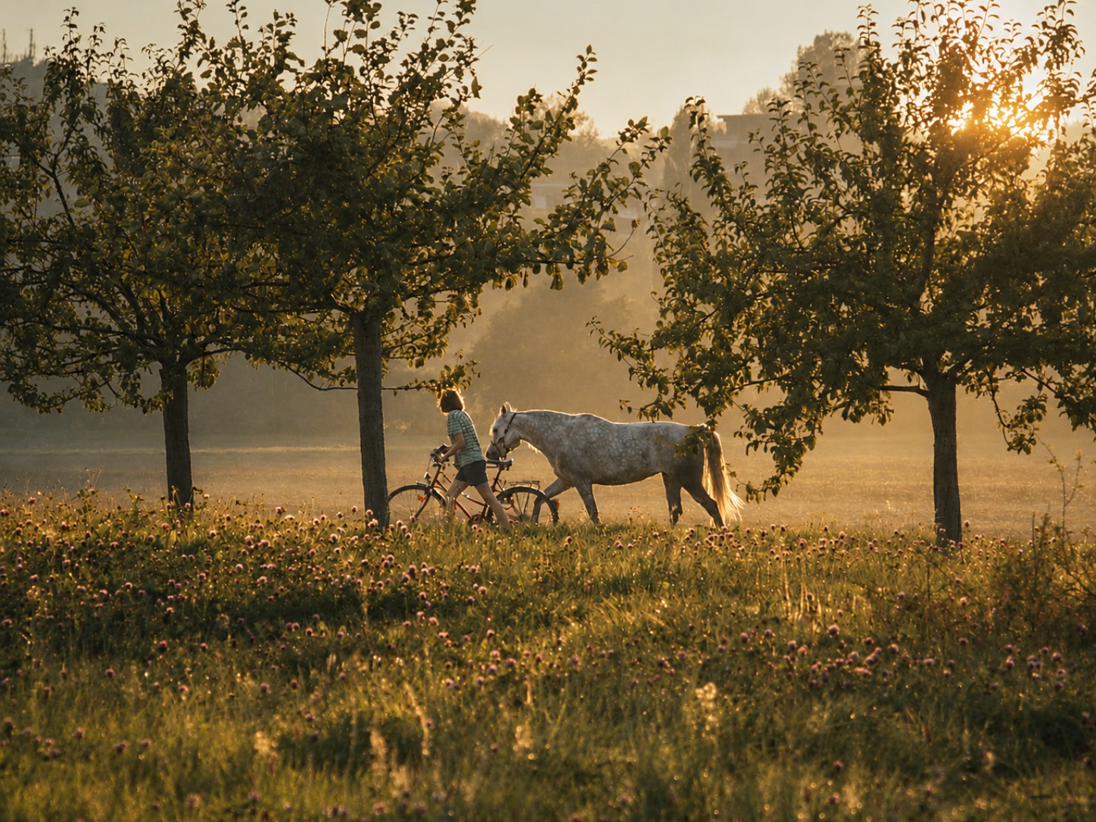 A quiet late-summer moment in warm evening light